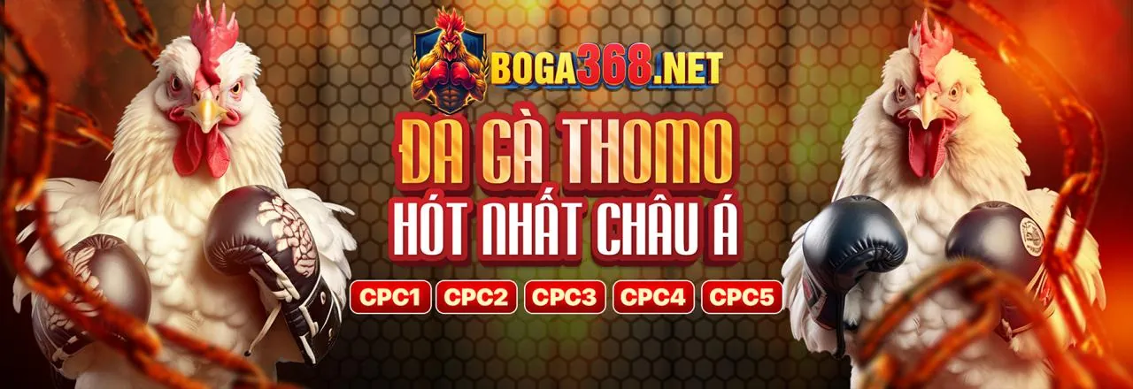 Chính Sách Cookie TD88 Link Mới